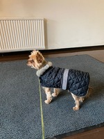 Hei vili oon menossa ulos oli pakko laittaa takki päälle on tuo meri tuuli niin kylmä, ja isäntä tulee niin veltosti perässä ehtii paleltua.-