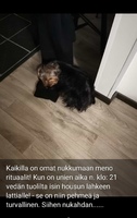 Sunnuntai 05.12 A