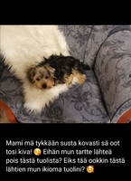 Maanantai 06.12