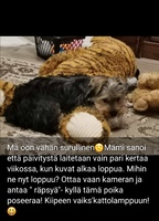 Tiistai 07.12