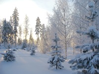 Perjantai 10.12