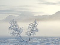 Maanantai 20.12