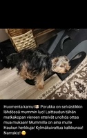 Maanantai 03.01