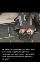 Tiistai 11.01