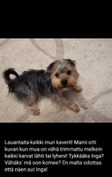 Lauantai 15.01