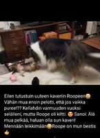 17.01