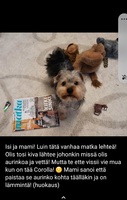 sunnuntai 18-01