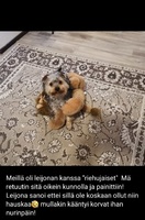 Tiistai 25.01