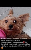 19.02