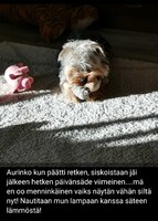 06.03
