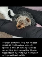 11.03