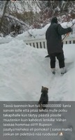 19.03