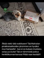 25.03