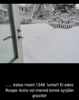 06.04