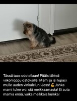 08.04