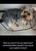 21.04