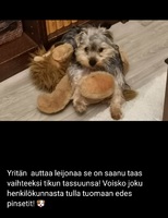 27.04