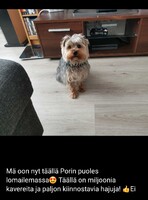 03.05
