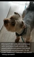 11.05