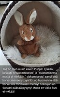 15.05