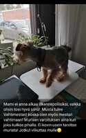 17.05