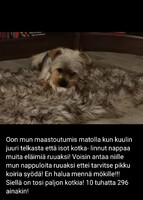 18.05