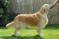 Winnie