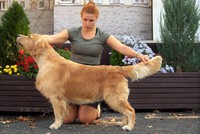 Pino