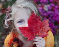 Φωτογραφία από StockSnap από το Pixabay