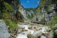 Silberkarklamm