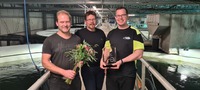 Trond Arne Myrvold, Ronny Slotterøy og Martin Olsen tok i mot opplæringsprisen på Grytåga Settesfisks anlegg.