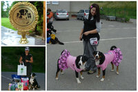 III. APZ CUP 2011