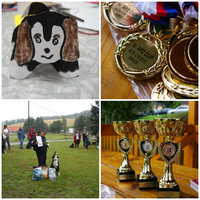 IV. APZ CUP 2012