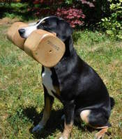 Appenzellka Abora 2 kg aport