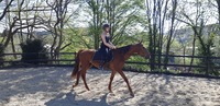 Hermès 3 ans, premières fois en selle