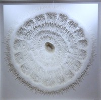 Cut stem variation, Rogan Brown, 2014.