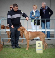 3. místo třídy dorost MVP Intercanis Brno 24.9.2016