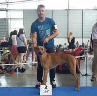 2. místo třídy mladých MVP Intercanis Brno 24.6.2017