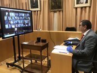 Imagen en directo del pleno ordinario del 30 de abril en Vélez