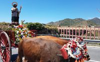 Imagen de San Isidro tirado por bueyes