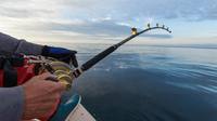 Pesca Marítima Recreativa