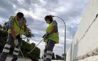 Servicio de desratización en Nerja