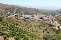 Viñas en el municipio de El Borge, la Axaquía