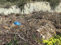 Restos de poda en el supuesto vertedero localizado en la Almijara