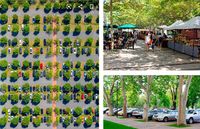 Modelo de mercadillo y parking propuestos por la Asociación Invictos