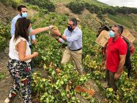 Francisco Salado se reúne con la Asociación Moscatel de Almáchar y alcaldes de la Axarquía