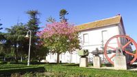 El Pleno de Vélez-Málaga aprueba que los jardines de la Casa Larios se denominen “Manuel Martín Bellido”