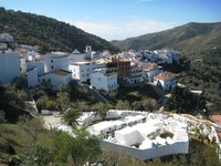 Municipio de Sayalonga, la Axarquía (Málaga)