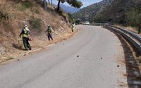 Tareas de desbroce en los márgenes de la carretera del Río de la Miel