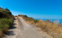 Carretera Río de la Miel (Nerja)